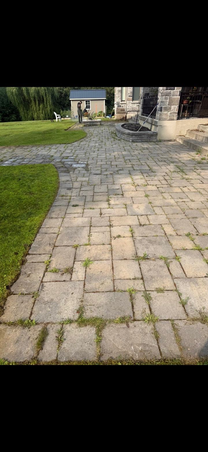 Tired Ottawa interlock driveway with weed-filled joints during a site visit